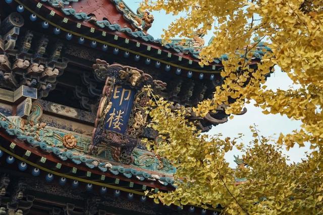 抓住秋天的尾巴 | 台儿庄古城秋色打卡指南，附私藏机位！