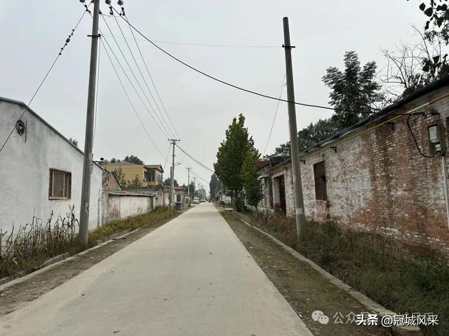 冠县乡韵·桑阿镇野场村