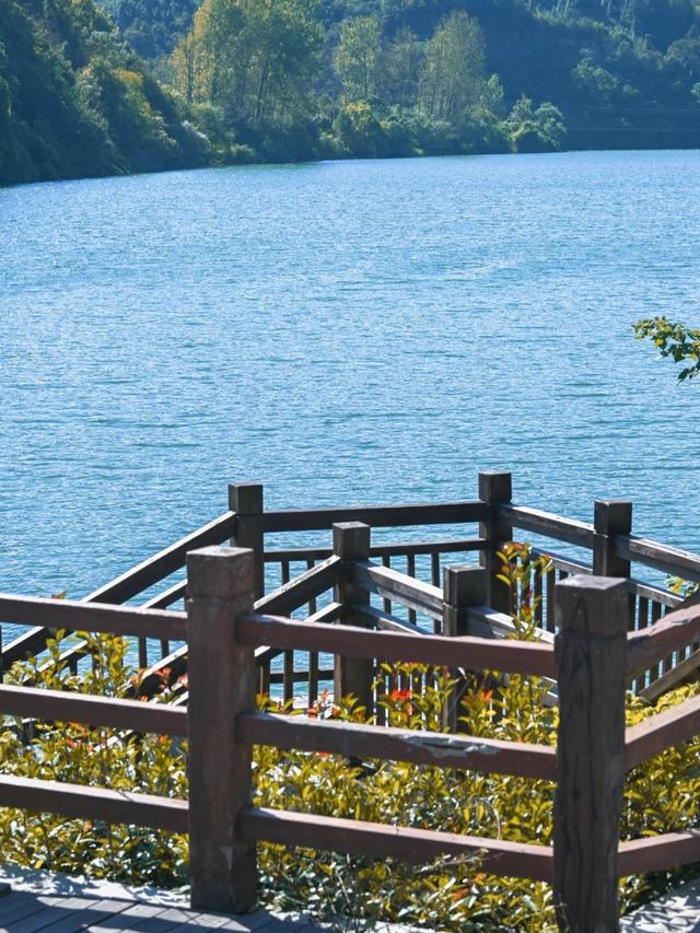 大批候鸟老人涌入池州，打着旅游的名义，不过冬不避寒，要干嘛？