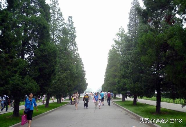 古木参天、绿草如茵，天坛景色秀