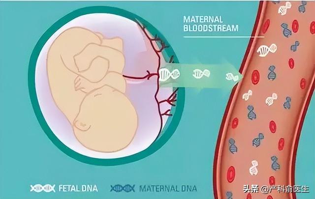 唐筛提示高风险怎么办？产科医生告诉你真相。