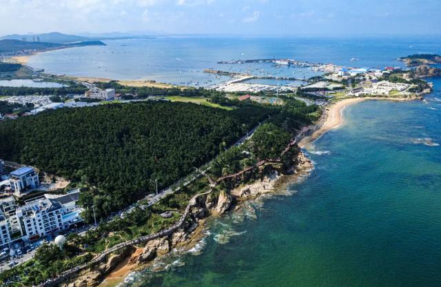 威海高区：文化“潮”起来 人气“火”出圈