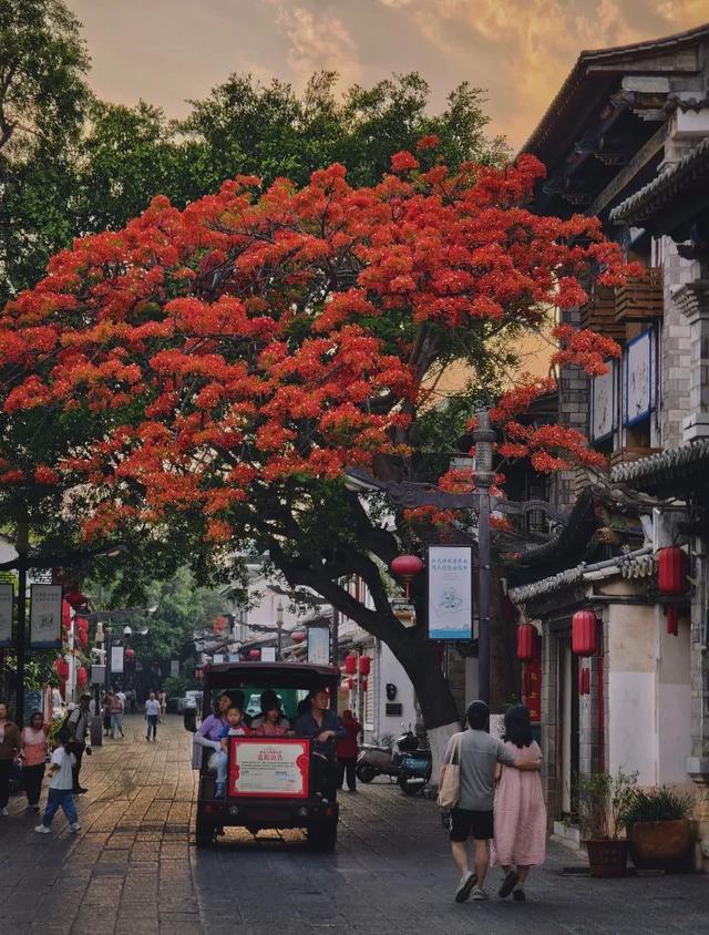 暑假适合一个人散心的4个治愈古镇，免门票，累了就去小住三五天