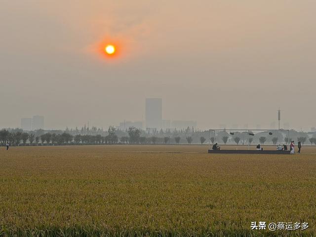 上海的乡村美得我头晕目眩