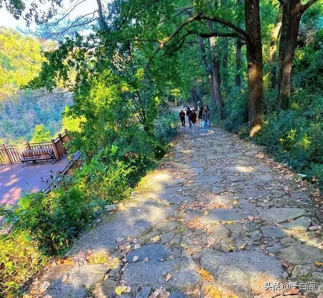 江南香山——天台·南黄古道