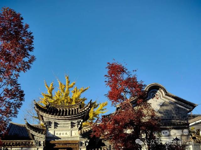 一年中最后一场华丽的秋色，鹤庆泸沽湖休闲5天游！11月底出发