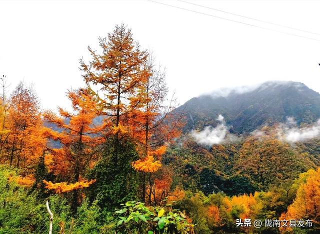 天下第一池，暗送秋波，美卷了！