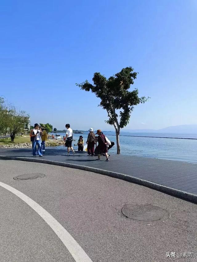 逃离“班味”，邂逅旅行中的本心鱼能量