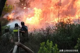 天呐，22死19伤 ？韩国山火原因真相曝光，罪魁祸首找到 外网炸锅图片