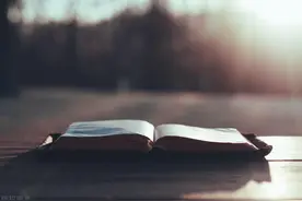 一定要大量读书：没啥特长，磕这5本书，用一年时间让自己变厉害图片