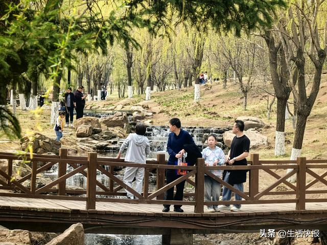 长春梨花文化周绘就生态文旅新画卷