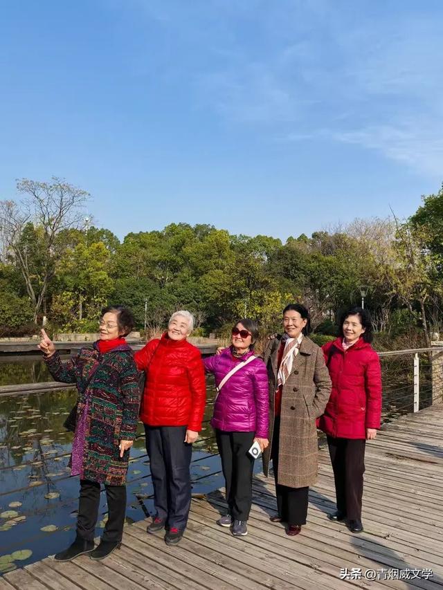 盘龙悠远银杏黄 水中学友情谊长