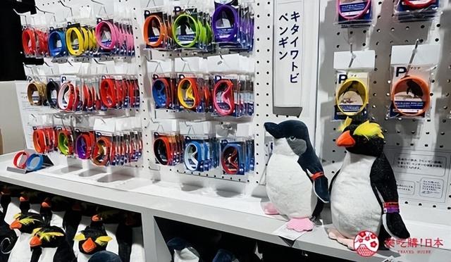 夜游札幌景点推荐「AOAO SAPPORO」水族馆：狸小路地下街直达