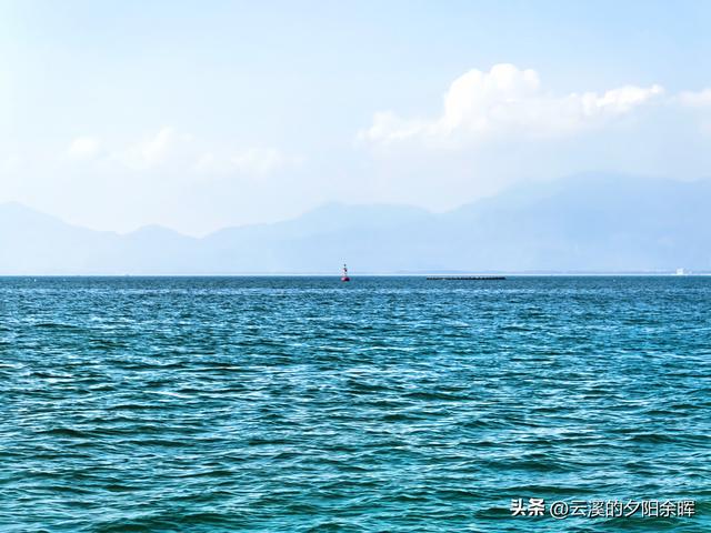 广东阳江海陵岛“渔家乐”体验，章鱼独当一面