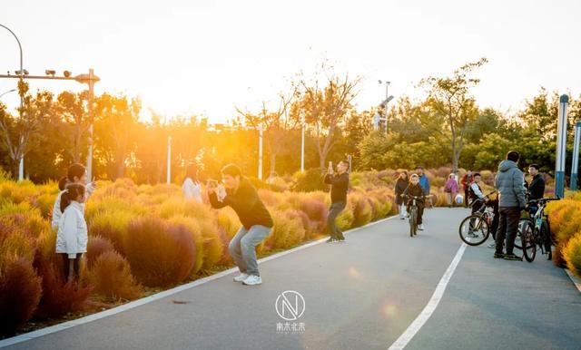 童话世界！深秋的生态城，美成了一幅画