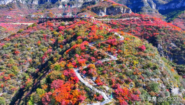 邯郸太行山红叶、紫山粉黛、广府古城……等你打卡