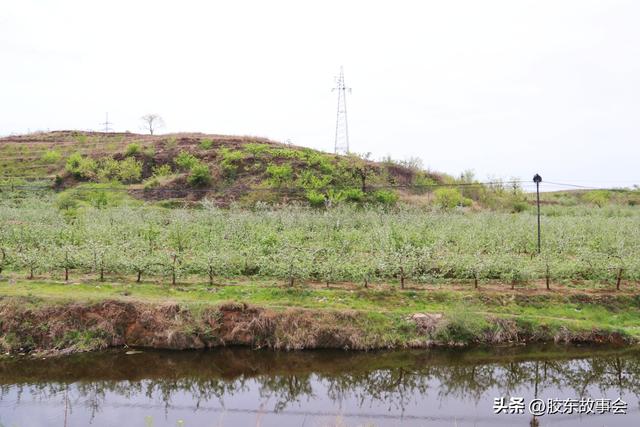 组图：海阳市发城镇“铁口村”掠影，与栖霞市铁口村同名