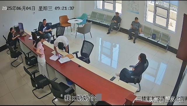 辱骂法官事件反转：骂人细节曝光，农妇辱骂属实，女法官太委屈