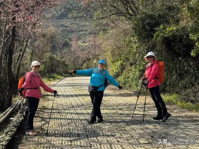 阳光明媚的冬日里,我们爬山去,逛陡坡村、看冬樱花,做晴朗的事