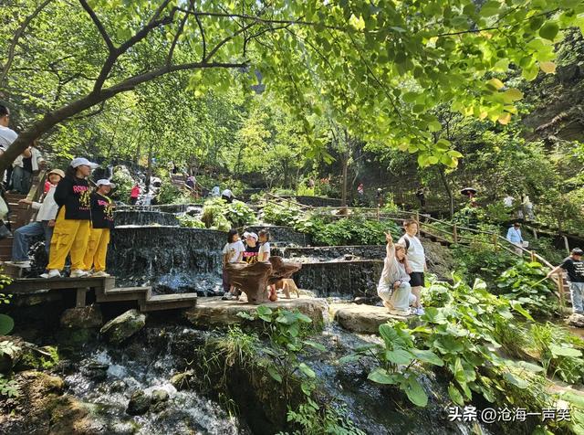 请河南的朋友猜一猜这是哪里的4A级景区，避暑胜地，森林密布