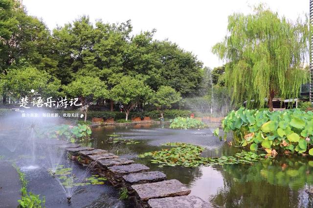 浙江宁波城区发现一处风景，小巧清幽但满池荷花，好有诗情画意