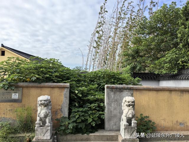 国庆假期来太湖边大有秋 远山近水丰收景 竺山书院福寿寺 蒋捷古墓