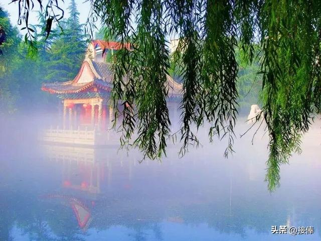 张克奇：寻梦老龙湾