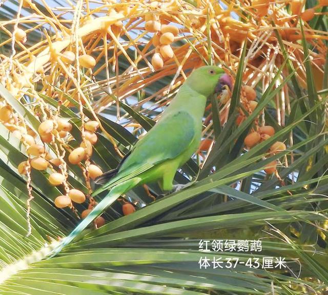 西班牙巴塞罗那掠影