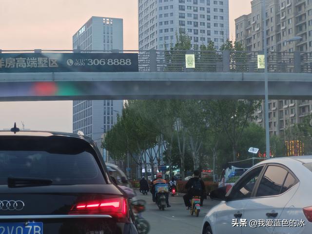 逛菏泽天香公园，这里牡丹很吸引游客，关键是二十四小时免费参观