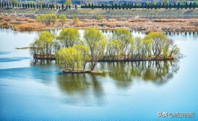 邂逅西安街巷里的唐诗，感受千年回响的悠悠文脉；长安风骨今犹在，半城文物半城诗