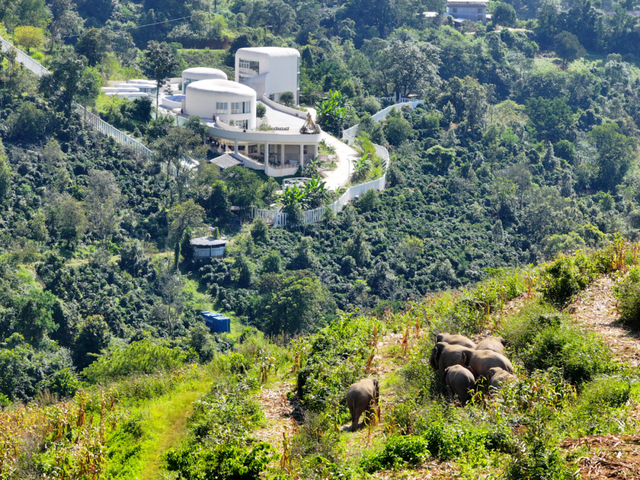 思茅打卡全攻略！这些宝藏点位 茶咖食宿玩一站式承包 | 有一种叫云南的生活