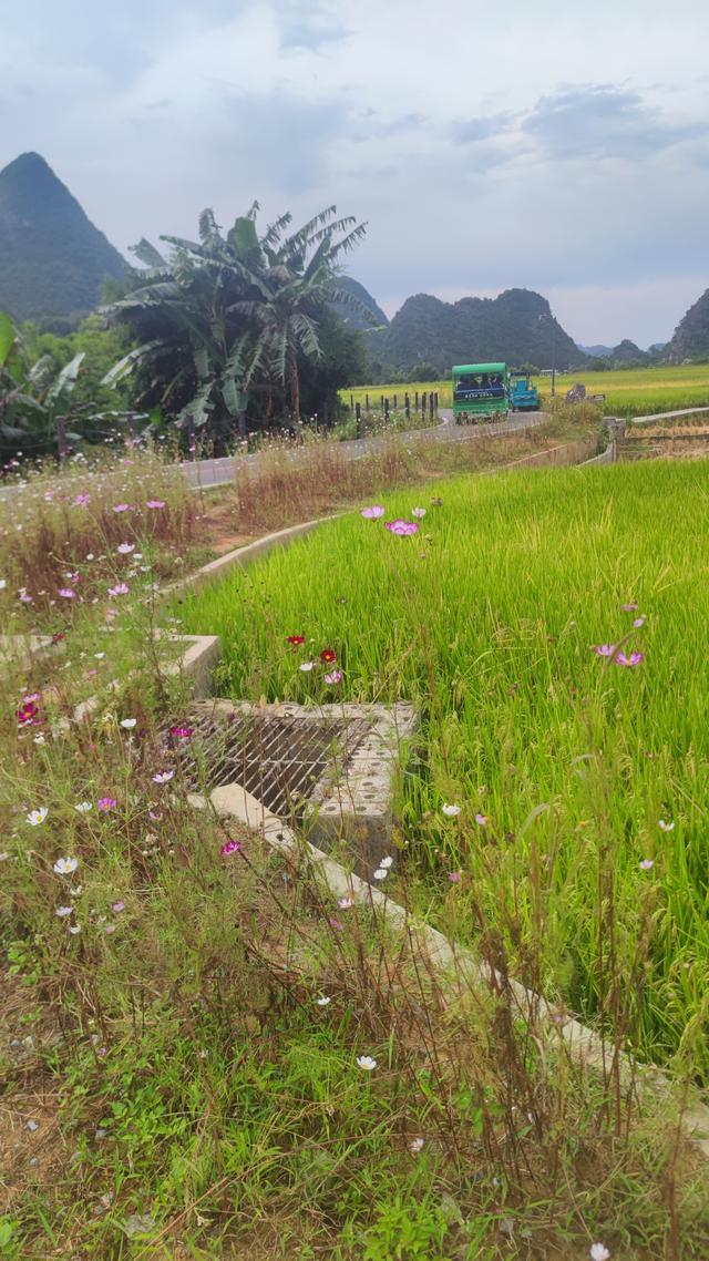 贵州万峰林景区