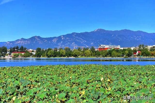 延庆,将生态文明建设写在绿水青山间——