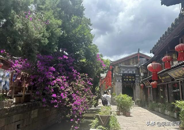 疆藏云贵行72，丽江要钱