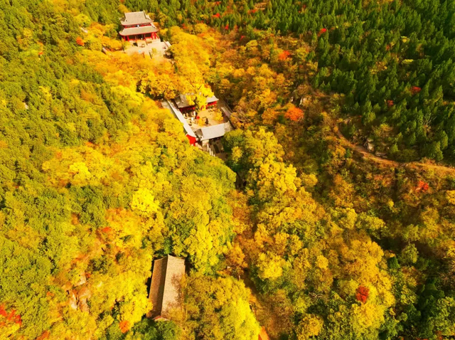 【醉美青檀秋色正当时】水彩画卷徐徐展开，只等您来！