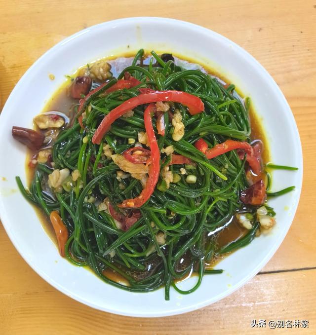河西走廊自由行（10），说说我的旅行搭子和敦煌的住宿