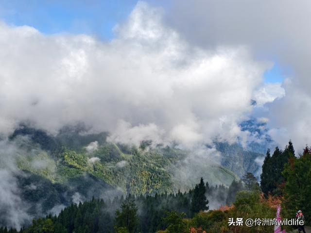 四川行(73)什邡红枫岭徒步到钟鼎寺
