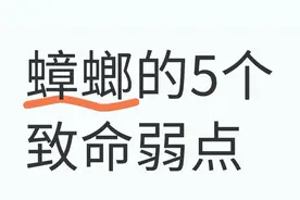 灭蟑不用药！5弱点3绝杀术，亲测70%蟑螂消失图片
