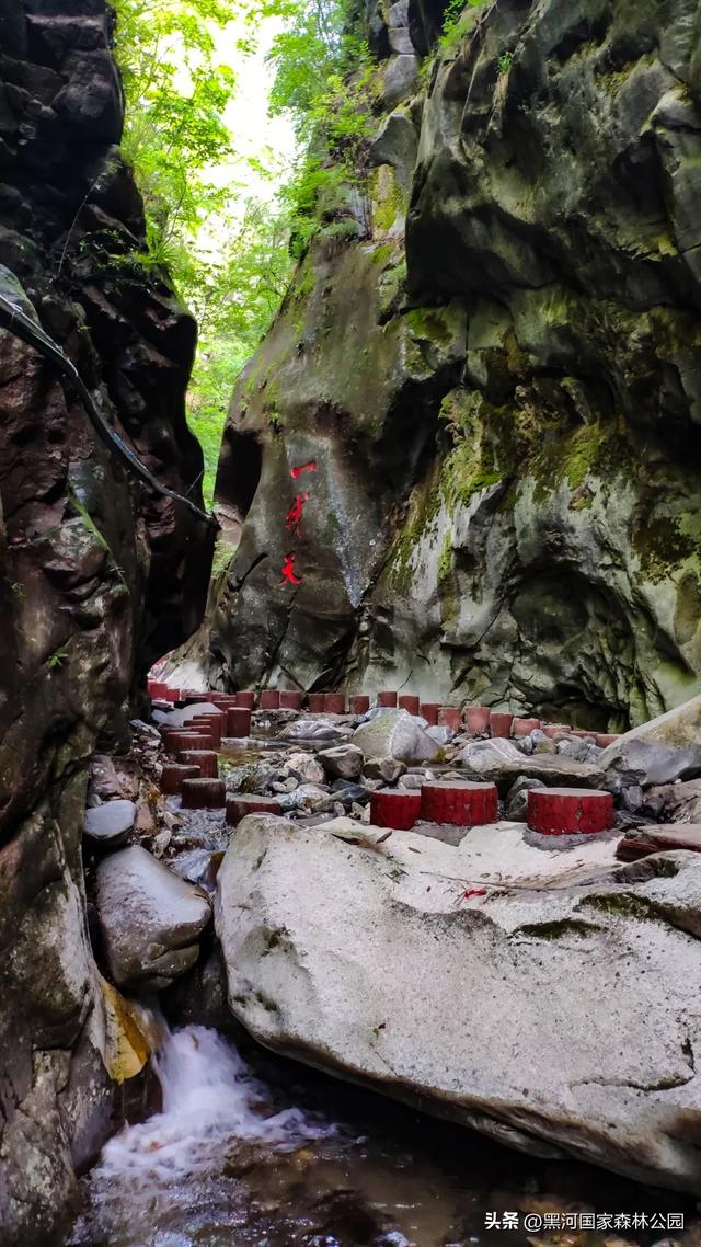 黑河的美，一直都在 | 云游黑河的秋日画卷