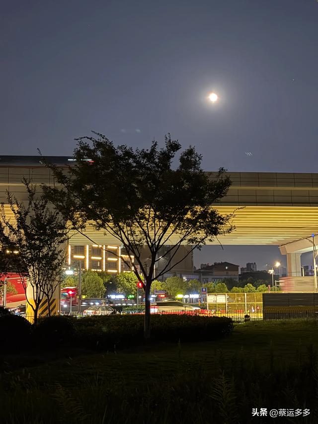 中秋逛豫园，月满人团圆