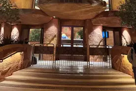 个人上海迪士尼乐园一日游，千万不要找导游图片