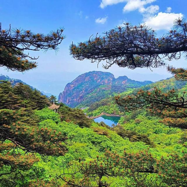 中国最美春光！踏春游春十个最佳去处