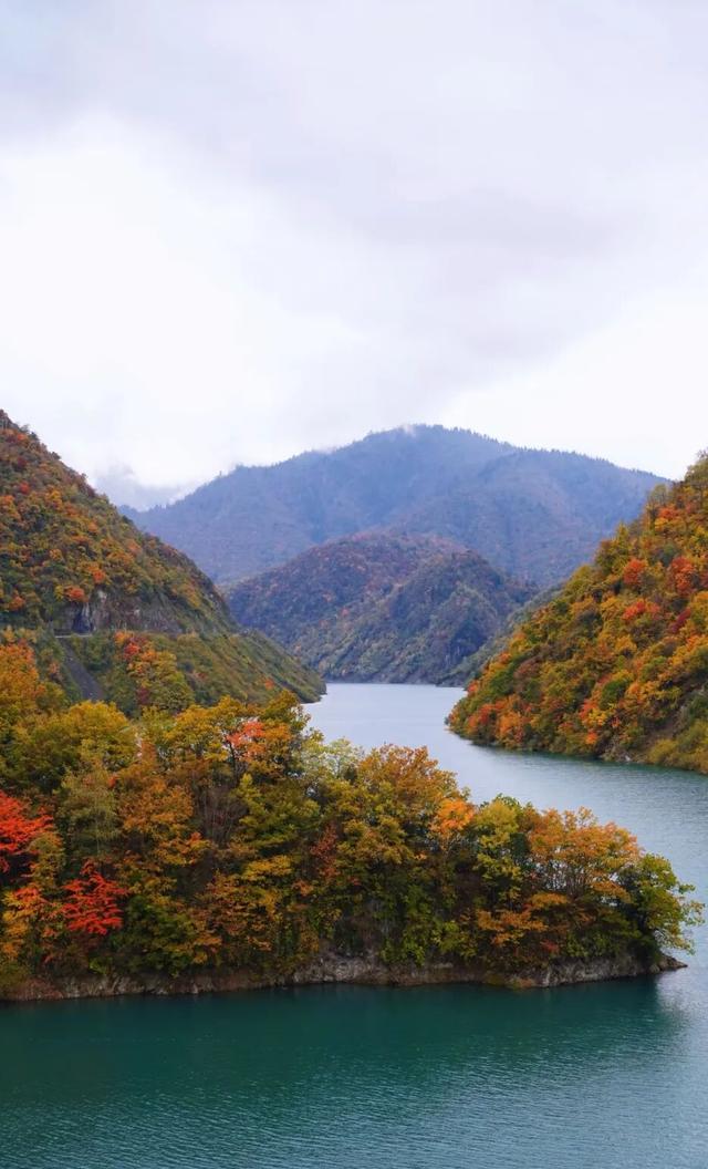 正式通车！全线免费！新挖赏秋天花板小城，绝美彩林不输九寨！地道美食50元吃爽！