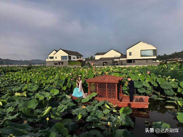 莲花世界人如潮！开江“荷文化”消费季持续至9月底