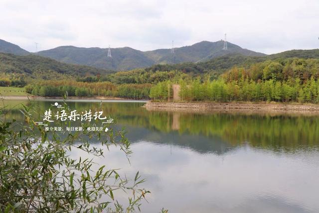 绍兴上虞的红杉观赏胜地，杉树未红时的景色也很美，非常值得游玩