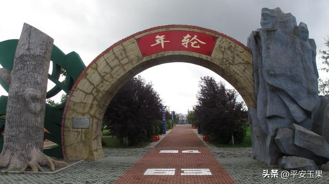 东方红，我拿什么来爱你（下）东方红小镇的“魅力”