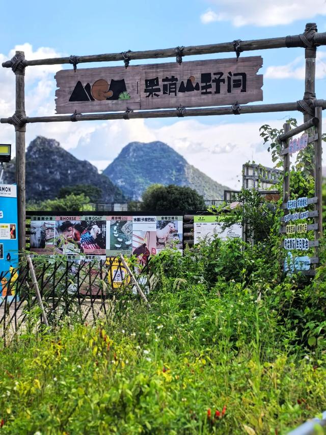 桂林：乐骑青山绿水间！