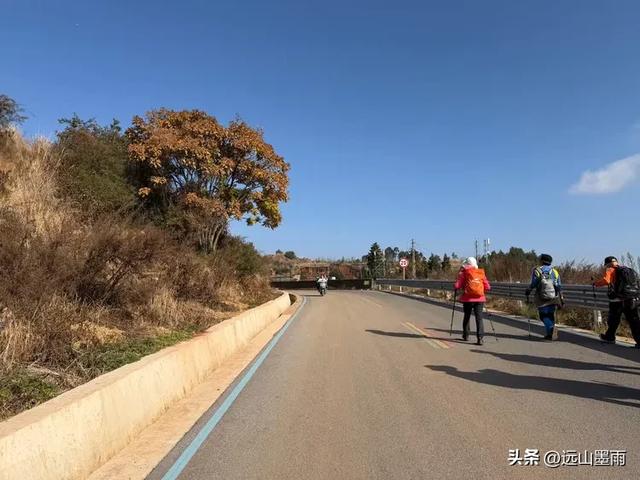 阳光明媚的冬日里，我们爬山去，逛陡坡村、看冬樱花，做晴朗的事