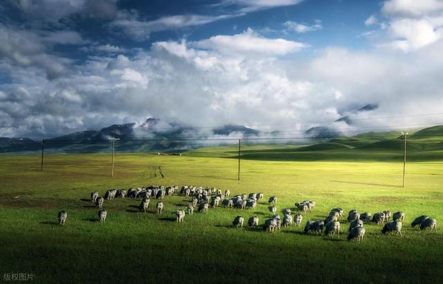 建议河北石家庄一个工亡不予认定行政诉讼案家属先别撤诉