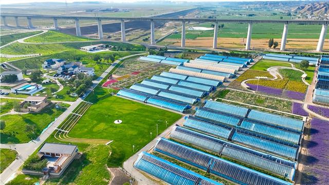 【精品线路】“新”动新区，这份「青春漫游指南」请查收！
